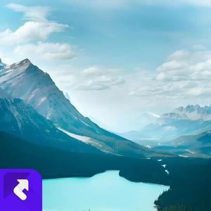 时光中的青春错爱与寂寞脉搏