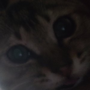 快乐不打烊_no-watermark.wav
