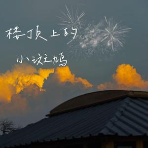 楼顶上的小斑鸠（女声完整版）