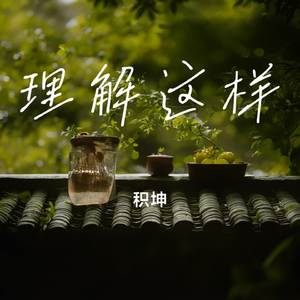 理解这样