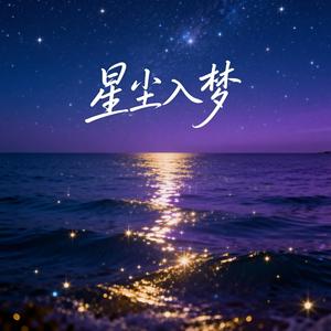 星尘入梦 (现场)