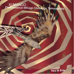 Electrodécima XII (Falconidae Chimango Caracara)