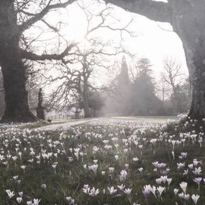 bossa nova type beat ~ cuba