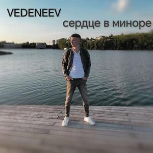 Сердце в миноре