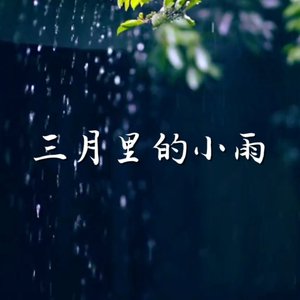 三月里的小雨DJ-C-D