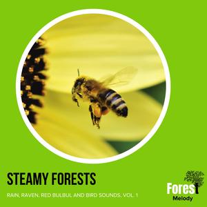 Calming Music of Water Trickling