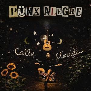 perra callejera