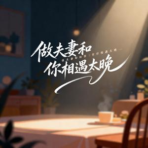 做夫妻和你相遇太晚