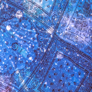 사자의 심장 (feat. taepoong)