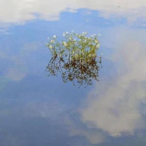 some feelings never go away edit (feat. Nia Sultana)