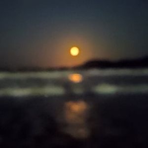 Critical Darling（原唱：SLIPKNOT）