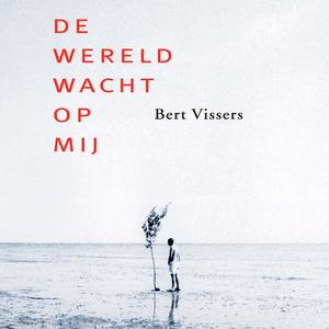 Liever geen lied