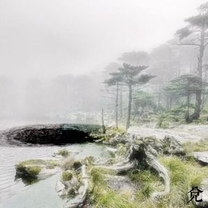 在雾里让我们跳支舞