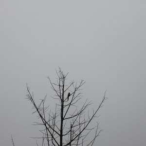 忽然之间（Cover 莫文蔚）