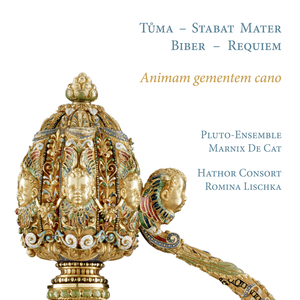 Stabat Mater in G Minor: III. Quis est homo (Andante)