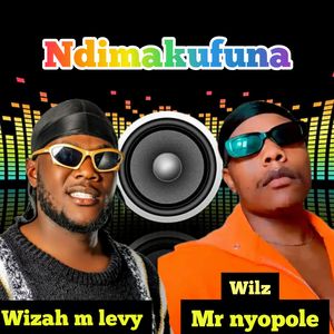 Ndimakufuna
