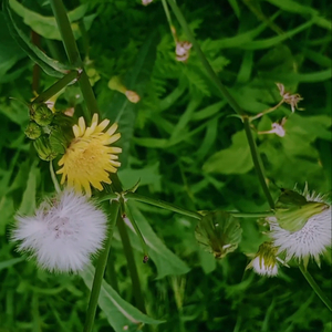 Hoy No Es un Dia Especial