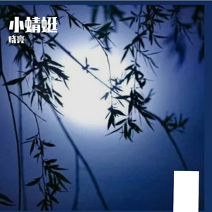小蜻蜓 – anina