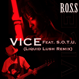 Vice (Liquid Lush Remix) [feat. S.O.T.U.]