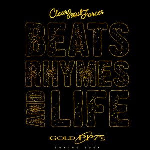 Beats x Rhymes x Life