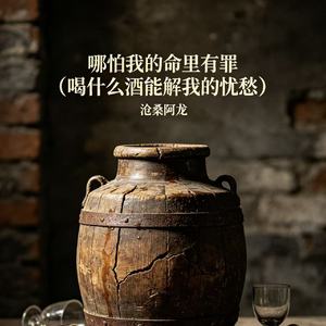 哪怕我的命里有罪 (喝什么酒能解我的忧愁)