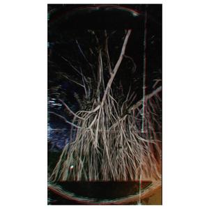 Jalan Jalan (Sousange)