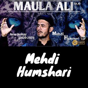 Sallallaho Alaika Ya Hussain (a.s)