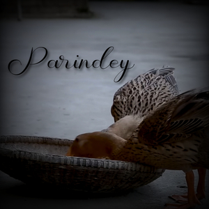 Parindey