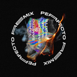 Perfecto (Remix)