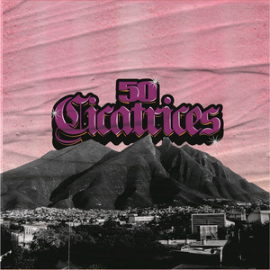 ¿Cincuenta Cicatrices?