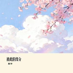 我们还年轻 (星华 Remix)
