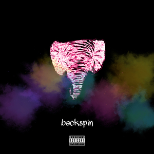 BACKSPIN
