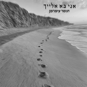 אני בא אלייך