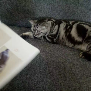 陌生城市的早晨