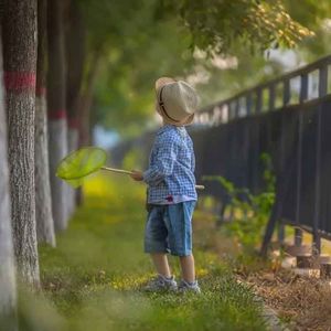 刘若英-后来（阿文 remix）