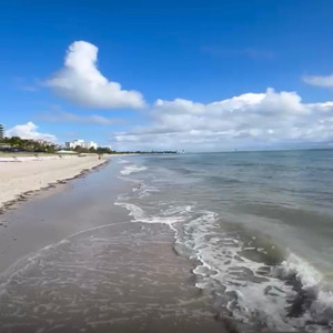 I Need Love and Affection