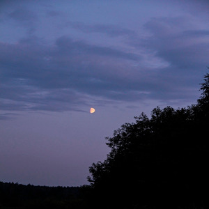 Фиолетовый закат и мастурбация