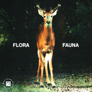 Fauna