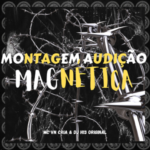 Montagem Audição Magnética
