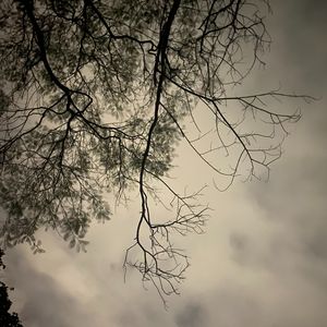 青春伤痕文学。 Prod by MEGA