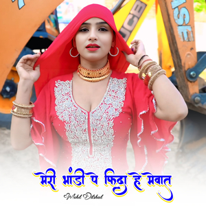 मेरी भांडी पे फिदा हे मेवात