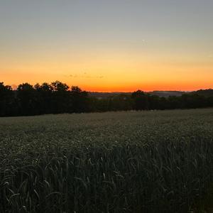 Lost. (Raus Aus Mir Original Soundtrack)
