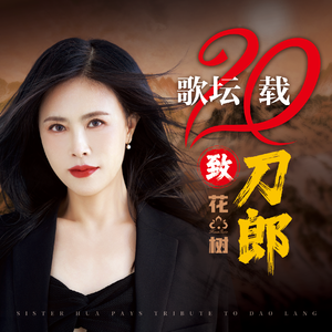 歌坛二十载致刀郎（DJ狂澜蓝小龙版）