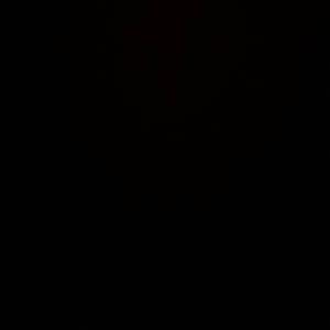 Causa x Nyki 30 (Flipie)