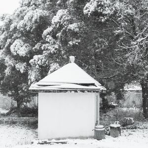 雪舞
