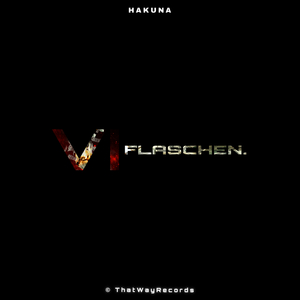 VI Flaschen
