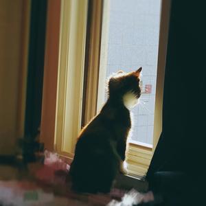 ふわふわのぬくもり