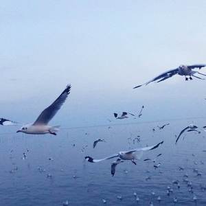 陪你走到世界的尽头