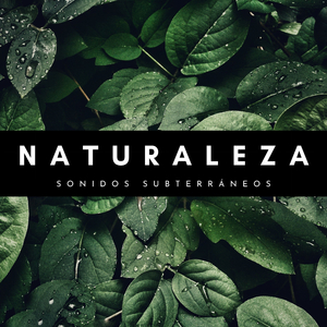 Acordes Subterráneos