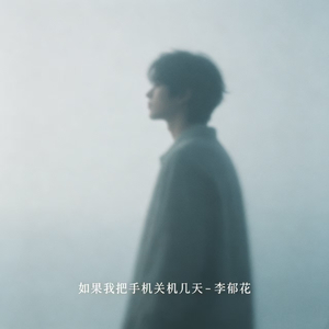 如果我把手机关机几天